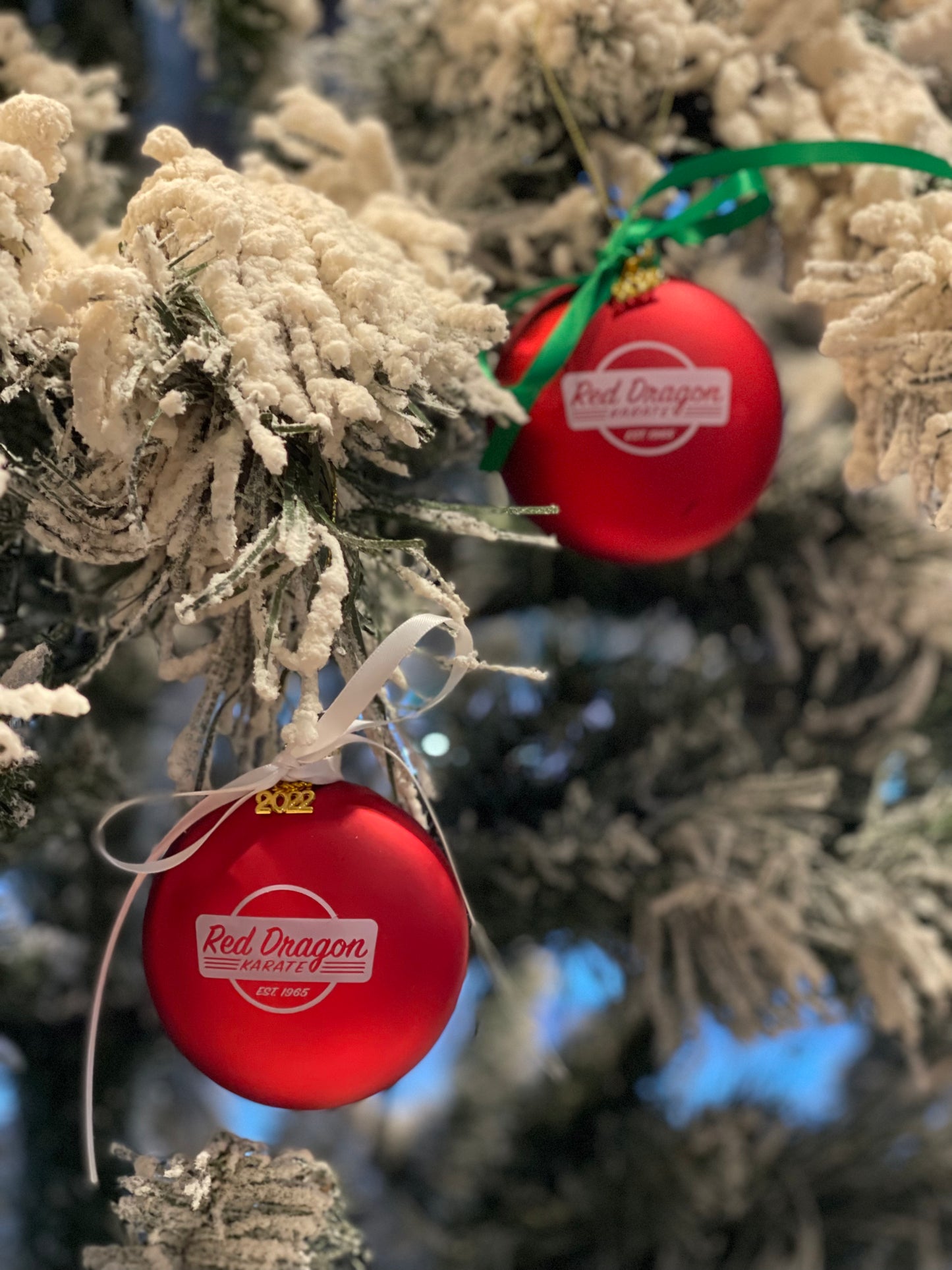 2022 Ornament