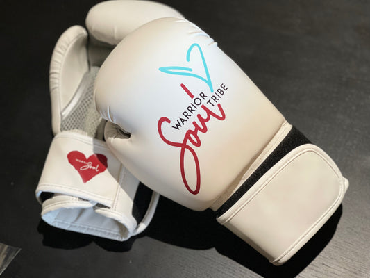 Warrior Soul Premier Boxing Glove